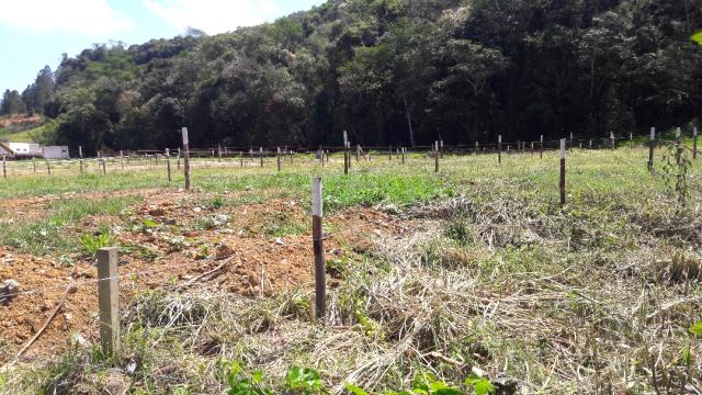 T. 6057 - REA COM 12.000 MTS NO MELHOR DE ITAPEMA / GUARAREMA