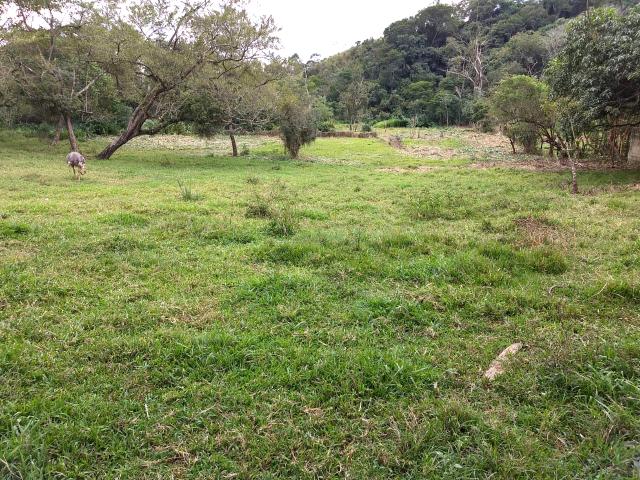 T. 6478 - TERRENO COM EXCELENTE TOPOGRAFIA EM STA BRANCA/GUARAREMA-SP