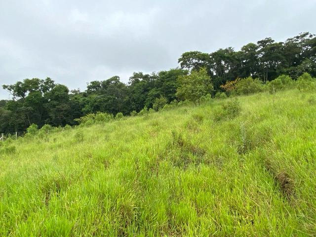 T.6579 - TERRENO DE 1048m BAIRRO FUKUSHIMA EM GUARAREMA -SP.